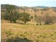 Lot 9 Slaters Lane, Candelo NSW 2550