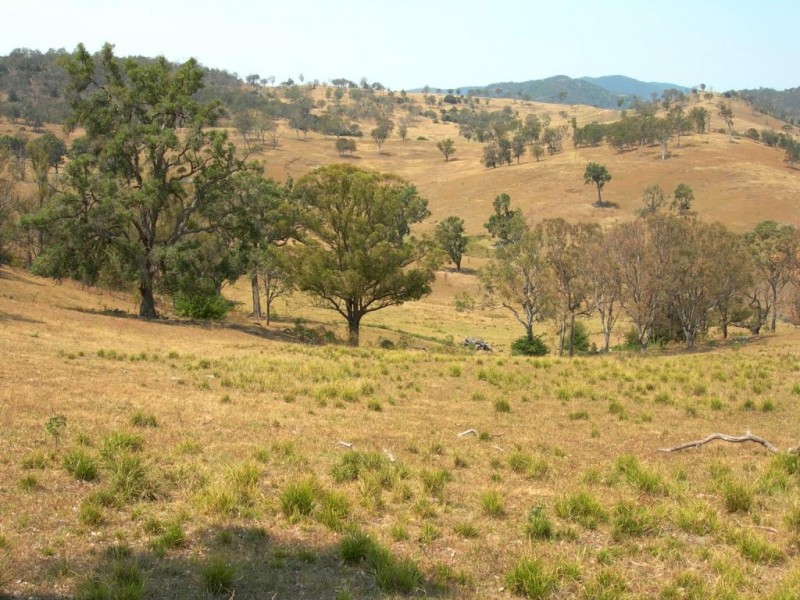 Lot 9 Slaters Lane, Candelo NSW 2550