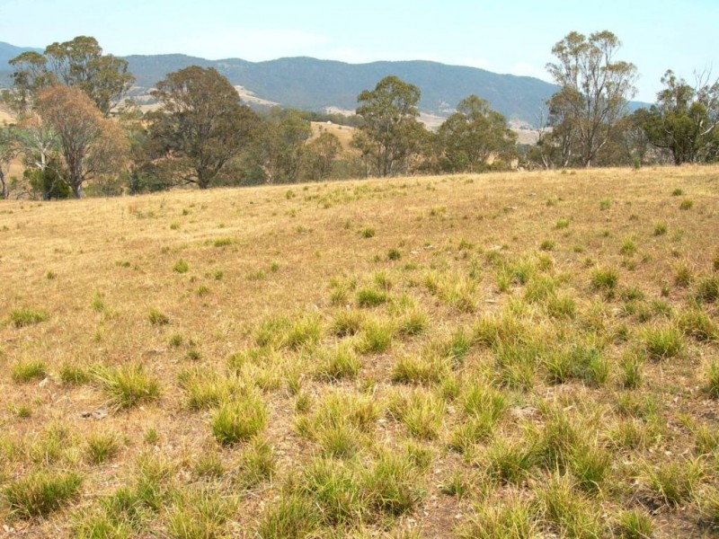 Lot 9 Slaters Lane, Candelo NSW 2550