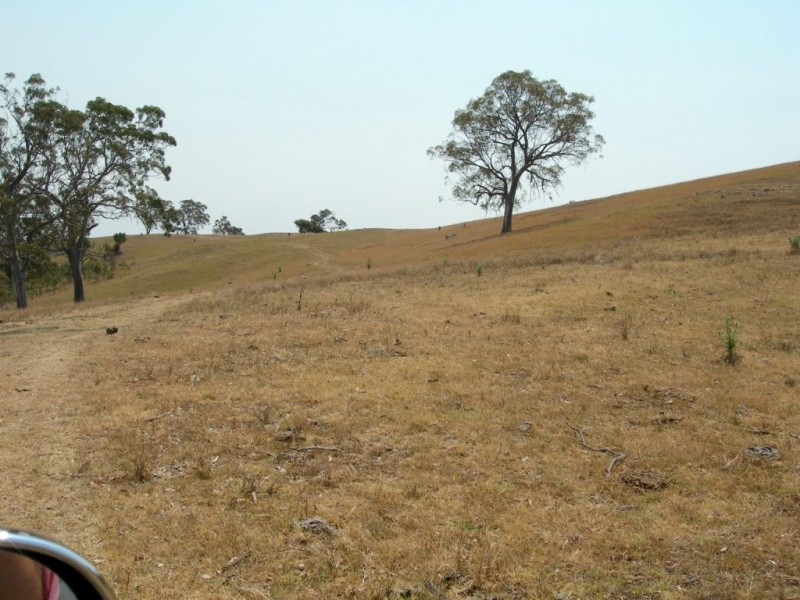 Lot 9 Slaters Lane, Candelo NSW 2550