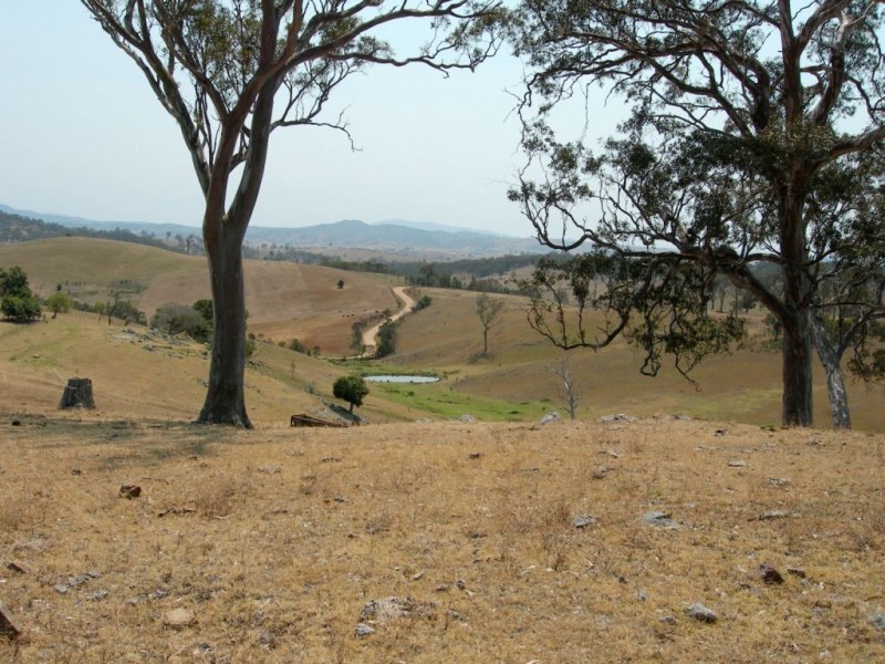 Lot 9 Slaters Lane, Candelo NSW 2550