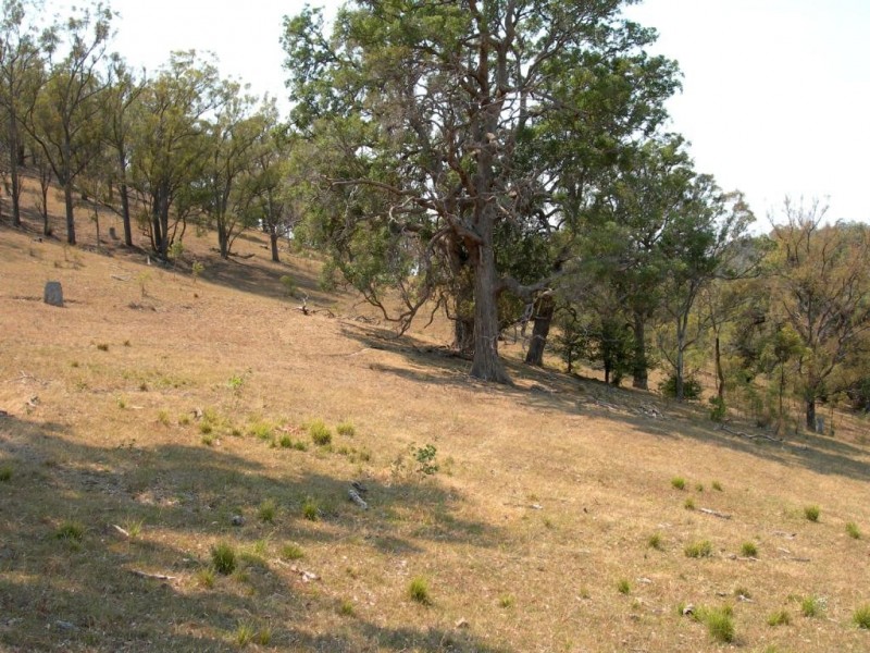Lot 9 Slaters Lane, Candelo NSW 2550