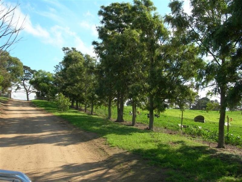 1 Tantawangalo Lane, Candelo NSW 2550
