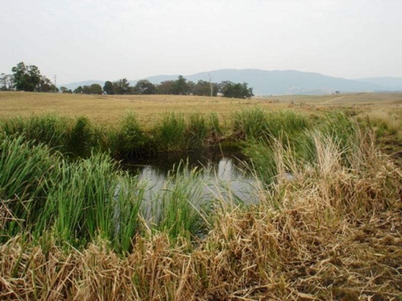 1 Tantawangalo Lane, Candelo NSW 2550