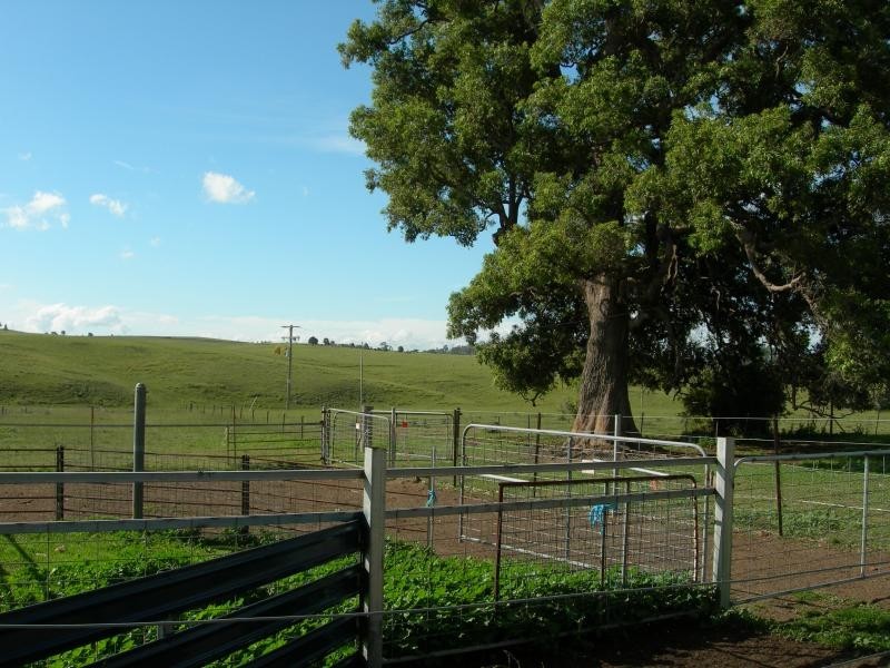 1 Tantawangalo Lane, Candelo NSW 2550