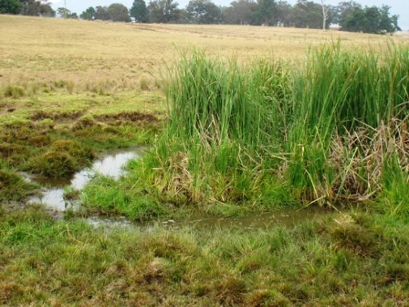 1 Tantawangalo Lane, Candelo NSW 2550