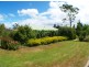 9 Annabelle Close, Wolumla NSW 2550