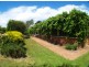 9 Annabelle Close, Wolumla NSW 2550