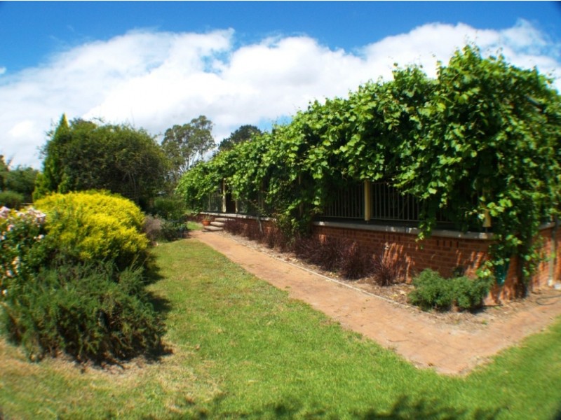9 Annabelle Close, Wolumla NSW 2550
