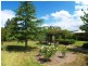 9 Annabelle Close, Wolumla NSW 2550