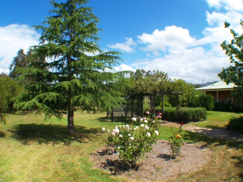 9 Annabelle Close, Wolumla NSW 2550