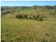 Lot 5 Snowy Mtns Hwy, Bega NSW 2550