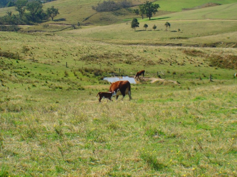 Lot 5 Snowy Mtns Hwy, Bega NSW 2550