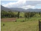 3379 Snowy Mtns Hwy, Bemboka NSW 2550