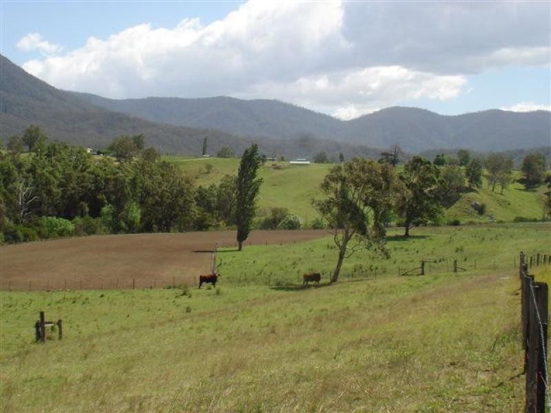 3379 Snowy Mtns Hwy, Bemboka NSW 2550