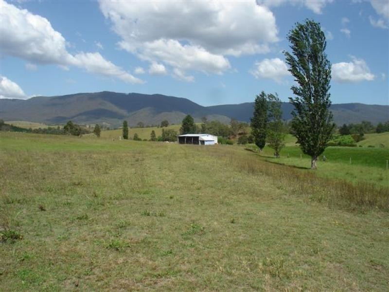 3379 Snowy Mtns Hwy, Bemboka NSW 2550
