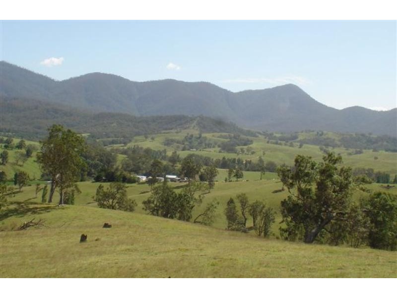3379 Snowy Mtns Hwy, Bemboka NSW 2550