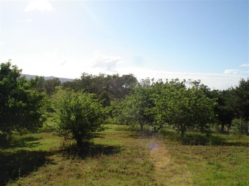 52 Robertson Street, Bemboka NSW 2550