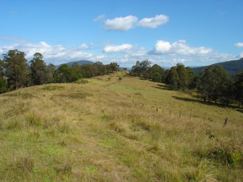 Lot 278/ Myrtle Mountain Rd, Wyndham NSW 2550