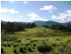 Lot 278/ Myrtle Mountain Rd, Wyndham NSW 2550