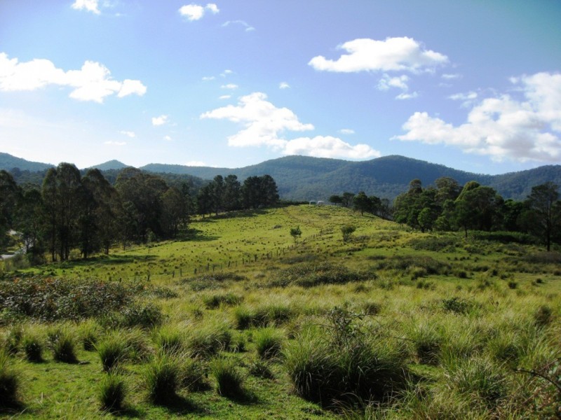 Lot 278/ Myrtle Mountain Rd, Wyndham NSW 2550