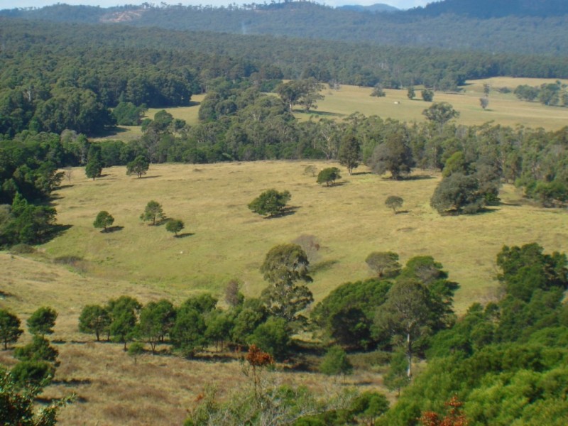 Lot 278/ Myrtle Mountain Rd, Wyndham NSW 2550