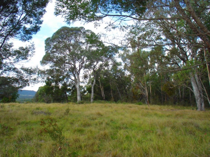 Lot 278/ Myrtle Mountain Rd, Wyndham NSW 2550