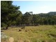 Lot 278/ Myrtle Mountain Rd, Wyndham NSW 2550