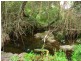 Lot 278/ Myrtle Mountain Rd, Wyndham NSW 2550