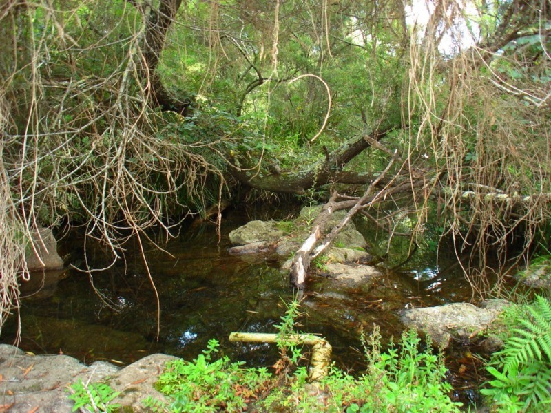 Lot 278/ Myrtle Mountain Rd, Wyndham NSW 2550