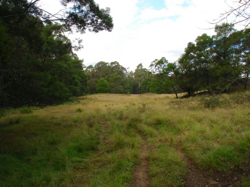 Lot 278/ Myrtle Mountain Rd, Wyndham NSW 2550