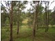 Lot 278/ Myrtle Mountain Rd, Wyndham NSW 2550