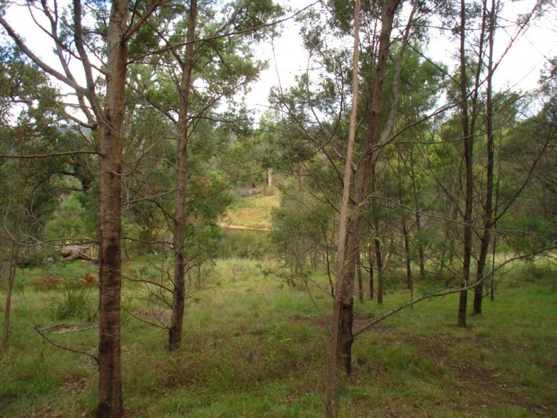 Lot 278/ Myrtle Mountain Rd, Wyndham NSW 2550