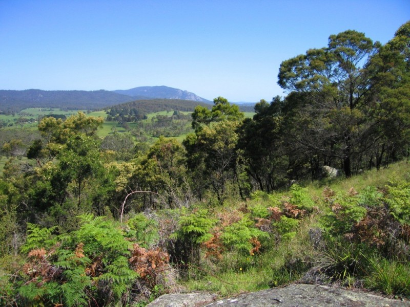 Lot 278/ Myrtle Mountain Rd, Wyndham NSW 2550