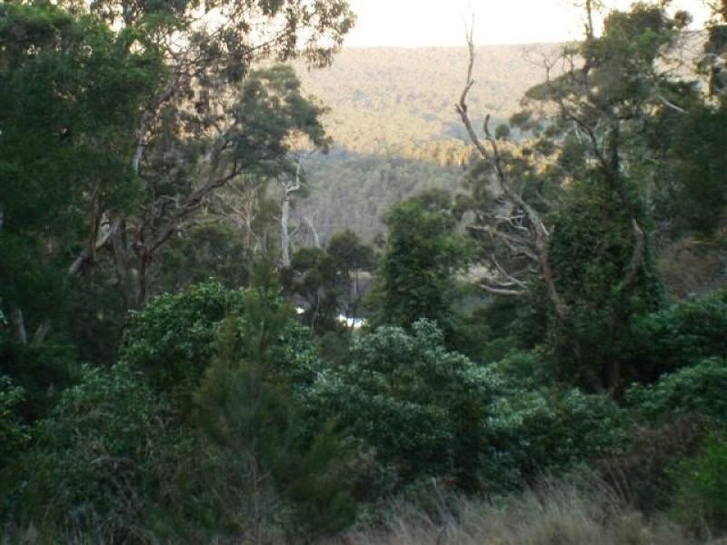 114 Vimy Ridge Road, Bega NSW 2550