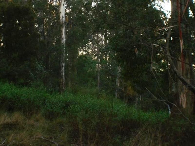 114 Vimy Ridge Road, Bega NSW 2550