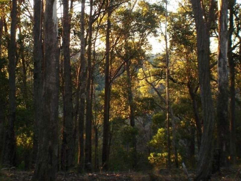 114 Vimy Ridge Road, Bega NSW 2550