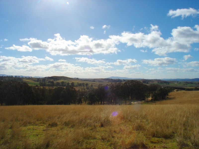 Lot 401 South Wolumla Road, Candelo NSW 2550