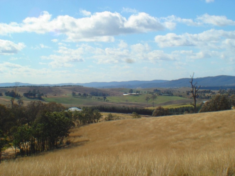 Lot 401 South Wolumla Road, Candelo NSW 2550
