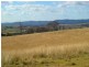 Lot 401 South Wolumla Road, Candelo NSW 2550