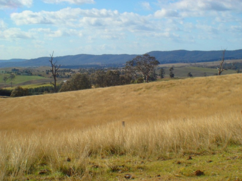 Lot 401 South Wolumla Road, Candelo NSW 2550