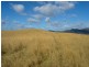 Lot 401 South Wolumla Road, Candelo NSW 2550