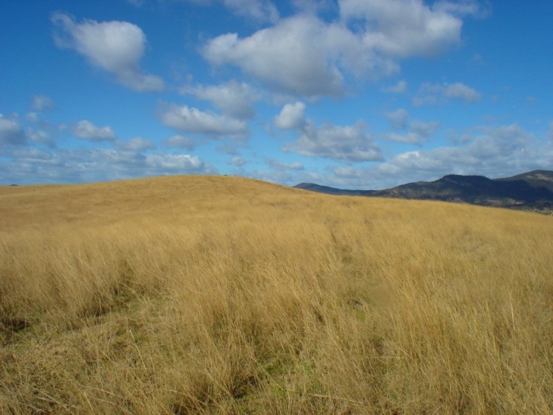Lot 401 South Wolumla Road, Candelo NSW 2550
