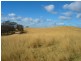 Lot 401 South Wolumla Road, Candelo NSW 2550