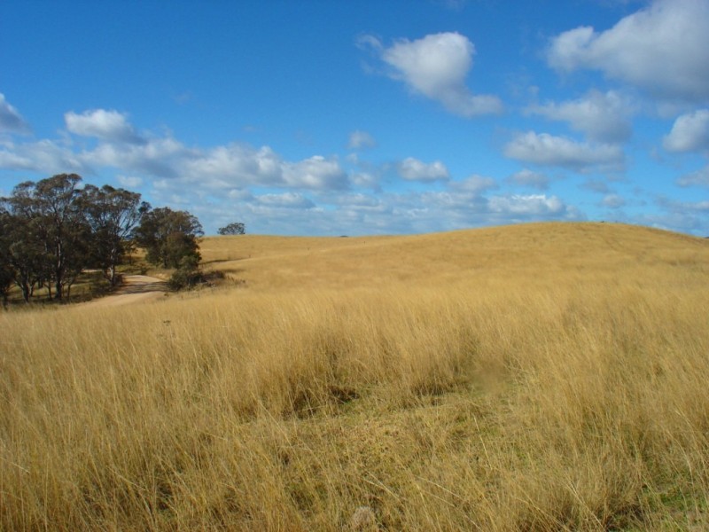 Lot 401 South Wolumla Road, Candelo NSW 2550
