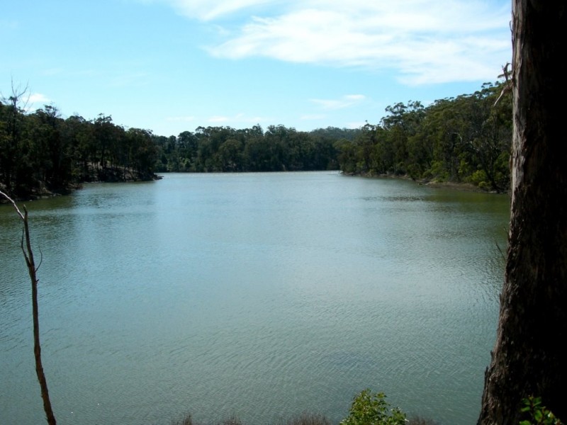 15 Raktari Place, Kalaru NSW 2550