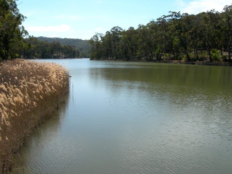 15 Raktari Place, Kalaru NSW 2550