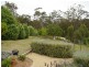 Lot 15/ Timber Close, Wallagoot NSW 2550