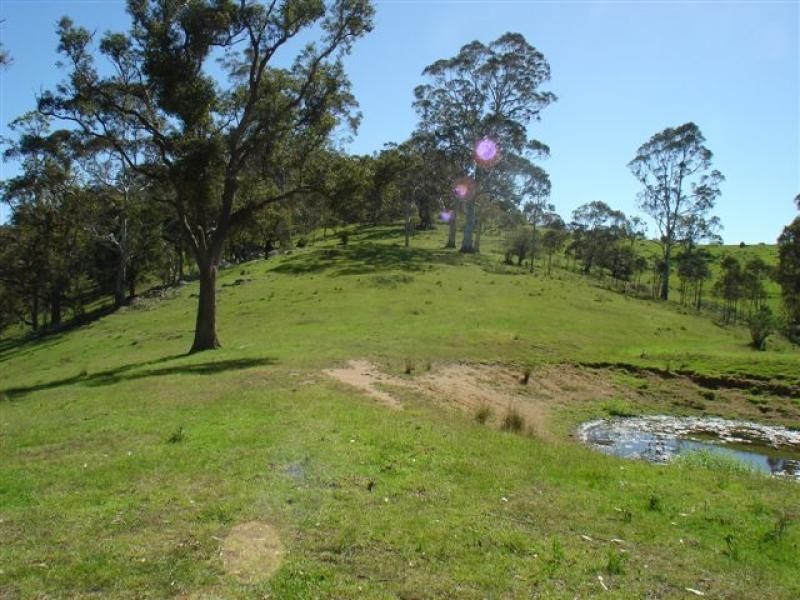 177 Little Careys Trail, Candelo NSW 2550