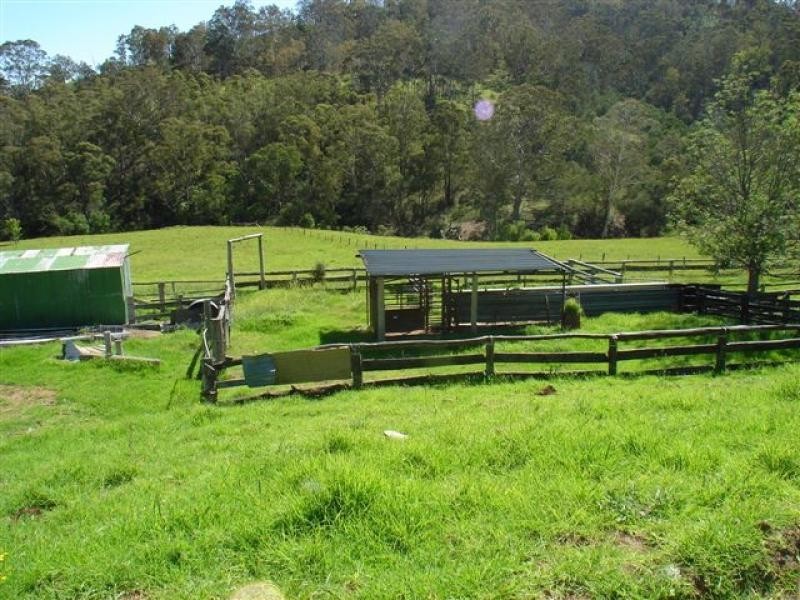 177 Little Careys Trail, Candelo NSW 2550